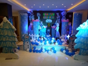 Service Provider of FROZEN THEME  Delhi 