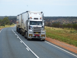 Service Provider of Full Load Transporters For All India Nangloi Delhi 
