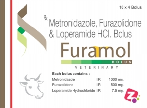 Manufacturers Exporters and Wholesale Suppliers of FURAMOL BOLUS AMBALA CITY Haryana