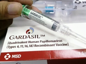 Manufacturers Exporters and Wholesale Suppliers of Gardasil Istanbul 