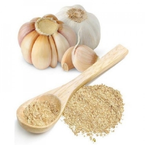 Manufacturers Exporters and Wholesale Suppliers of GARLIC POWDER Vadodara Gujarat