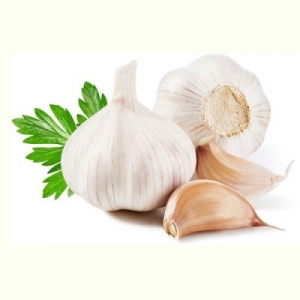 Manufacturers Exporters and Wholesale Suppliers of GARLIC Vadodara Gujarat