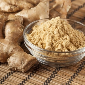 Manufacturers Exporters and Wholesale Suppliers of GINGER POWDER Vadodara Gujarat