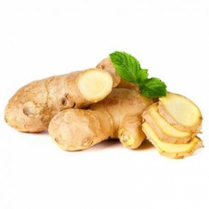 Manufacturers Exporters and Wholesale Suppliers of GINGER Vadodara Gujarat