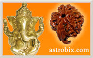 Manufacturers Exporters and Wholesale Suppliers of Ganesha Rudraksha Durgapur West Bengal