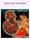 Garbh Gauri Rudraksha Manufacturer Supplier Wholesale Exporter Importer Buyer Trader Retailer in Durgapur West Bengal India