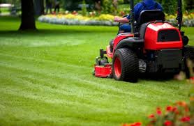 Service Provider of Garden Contractors Calicut Kerala