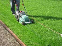 Garden Maintenance Services Services in Calicut Kerala India