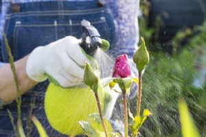 Garden Pest Control Services