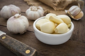 Manufacturers Exporters and Wholesale Suppliers of Garlic Gondia Maharashtra