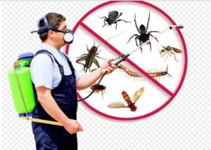 Service Provider of General Pest control Okhla Delhi