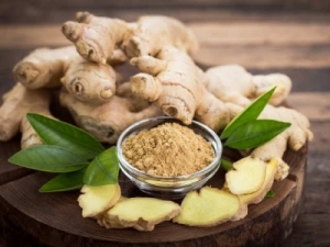 Manufacturers Exporters and Wholesale Suppliers of Ginger Gondia Maharashtra
