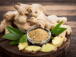 Ginger Manufacturer Supplier Wholesale Exporter Importer Buyer Trader Retailer in Gondia Maharashtra India