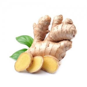Manufacturers Exporters and Wholesale Suppliers of Ginger Mumbai Maharashtra