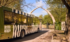 Giz Devalia Bus Safari Services in Sasan Gir Gujarat India