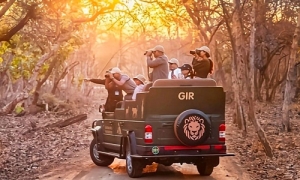 Giz Devalia Park Gypsy Safari Services in Sasan Gir Gujarat India
