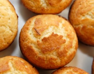 Manufacturers Exporters and Wholesale Suppliers of Gluten free Cake and Muffin mix mumbai Maharashtra