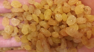 Manufacturers Exporters and Wholesale Suppliers of Raisin isfahan 