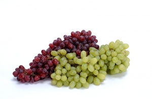 Manufacturers Exporters and Wholesale Suppliers of Grapes New Delhi Delhi