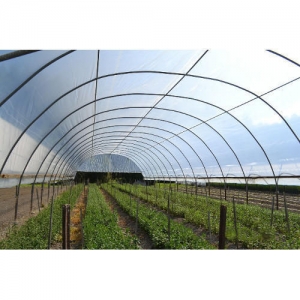 Greenhouse Film (Apron) Manufacturer Supplier Wholesale Exporter Importer Buyer Trader Retailer in Daman Daman & Diu India