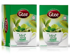 GTEE Green Tea Bags-Mint Manufacturer Supplier Wholesale Exporter Importer Buyer Trader Retailer in CHENNAI Tamil Nadu India