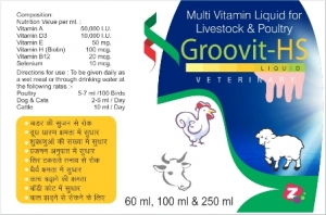 Manufacturers Exporters and Wholesale Suppliers of GROOVIT HS LIQ. AMBALA CITY Haryana