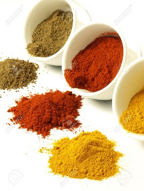 Manufacturers Exporters and Wholesale Suppliers of Ground Spices Gandhinagar Gujarat