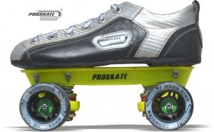 Manufacturers Exporters and Wholesale Suppliers of Proskate Guardian Karnal Haryana