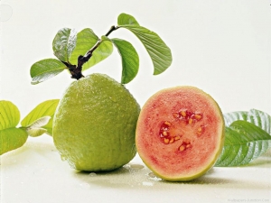 Guava Manufacturer Supplier Wholesale Exporter Importer Buyer Trader Retailer in New Delhi Delhi India