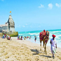 Service Provider of Gujarat Tours New Delhi Delhi