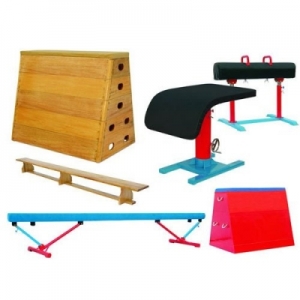 Manufacturers Exporters and Wholesale Suppliers of Gymnastics Shalimar Bagh Delhi
