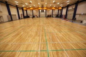 Manufacturers Exporters and Wholesale Suppliers of HEVEA Sports Wooden Flooring Telangana Andhra Pradesh