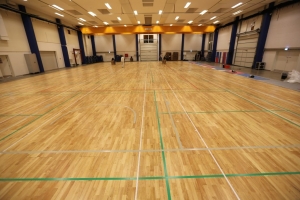 HEVEA Sports Wooden Flooring Manufacturer Supplier Wholesale Exporter Importer Buyer Trader Retailer in Telangana Andhra Pradesh India