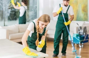 Manufacturers Exporters and Wholesale Suppliers of HOME CLEANING New Delhi Delhi