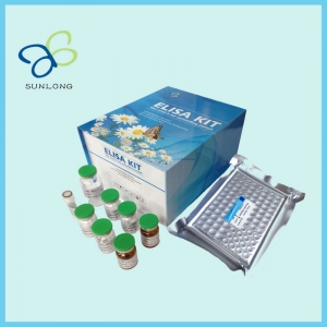 Human Adiponectin,adp Elisa Kit