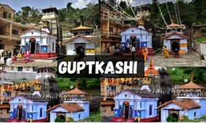 Haridwar -3 Nights & 4 Days Tour Services in New Delhi Delhi India