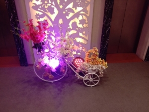 Service Provider of HELLO KITTY THEME  Delhi 