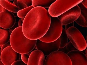 Hematology Services in New Delhi Delhi India