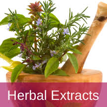 Herbal Extracts Manufacturer Supplier Wholesale Exporter Importer Buyer Trader Retailer in Bengaluru Karnataka India