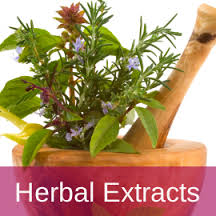 Manufacturers Exporters and Wholesale Suppliers of Herbal Extracts Bengaluru Karnataka