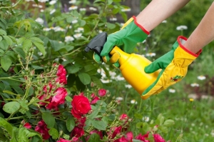 Herbal Pest Control Services Services in New delhi Delhi India