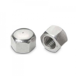 Hex Cap Nuts Manufacturer Supplier Wholesale Exporter Importer Buyer Trader Retailer in Mumbai Maharashtra 