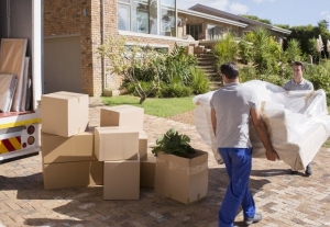 Home Relocation Services Services in Telangana  India