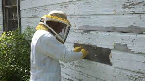 Honey Bee Removal Treatment Services in Bhopal Madhya Pradesh India