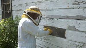 Service Provider of Honey Bee Removal Treatment Bhopal Madhya Pradesh 