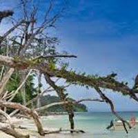 Service Provider of Honeymoon Tours Packages Port Blair Andaman & Nicobar