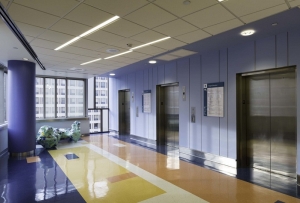 Manufacturers Exporters and Wholesale Suppliers of Hospital Elevators New Delhi Delhi