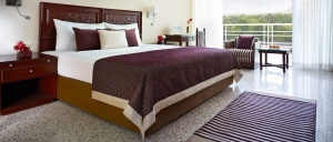 Gir Jungle Lion Travels