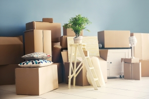 Service Provider of Household Goods Moving Company Telangana  