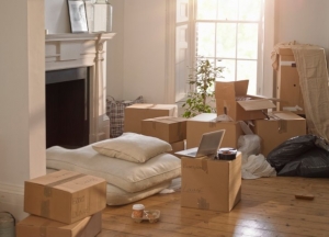 Household Goods Packing And Moving Services